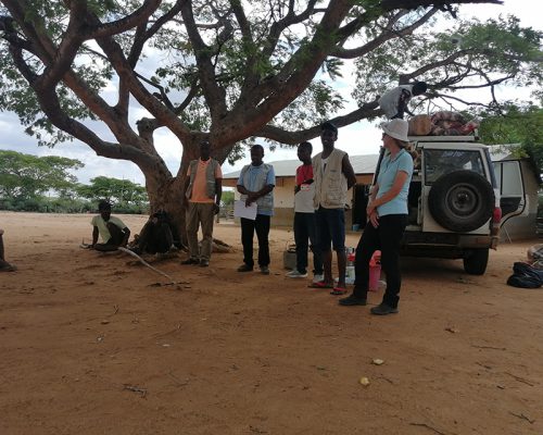 Amélioration de la productivité agricole